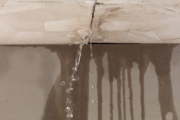 Professional Water Damage Repair technician working in Hankamer, TX